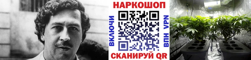Какие есть наркотики Ленинск-Кузнецкий Гашиш APVP Меф Каннабис КОКАИН