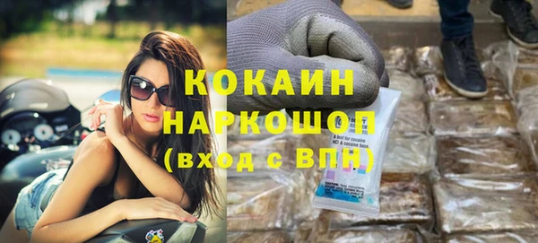 дмт Богданович