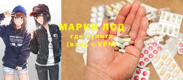 стафф Россошь