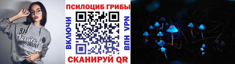 дарнет шоп  Ленинск-Кузнецкий  Псилоцибиновые грибы Psilocybe 